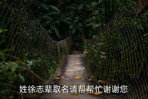 徐志，姓徐志輩取名請幫幫忙謝謝您