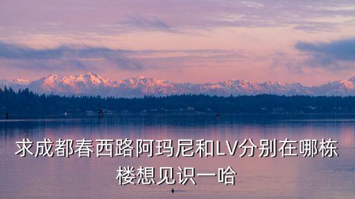求成都春西路阿瑪尼和LV分別在哪棟樓想見識一哈
