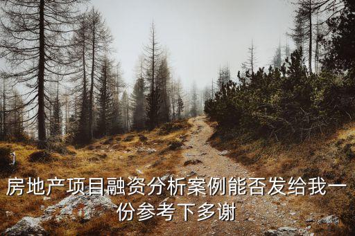 融資分析，房地產(chǎn)項(xiàng)目融資分析案例能否發(fā)給我一份參考下多謝