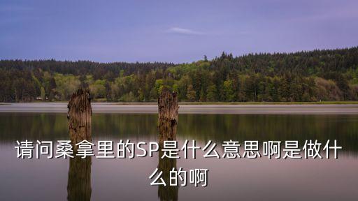 按摩SP，請(qǐng)問桑拿里的SP是什么意思啊是做什么的啊