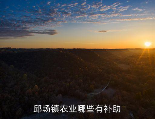 農(nóng)業(yè)補(bǔ)貼政策，國(guó)家對(duì)農(nóng)村有何補(bǔ)助政策規(guī)定