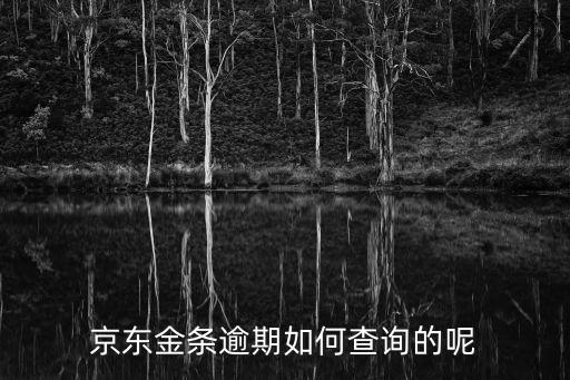 京東金條逾期，京東金條逾期如何查詢的呢