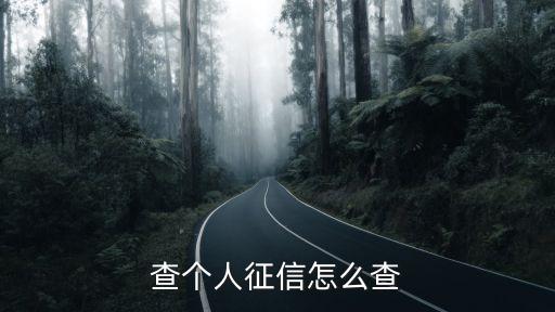查個(gè)人征信怎么查