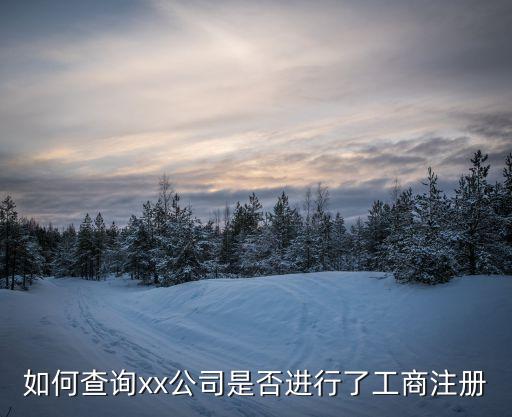 如何查詢xx公司是否進(jìn)行了工商注冊