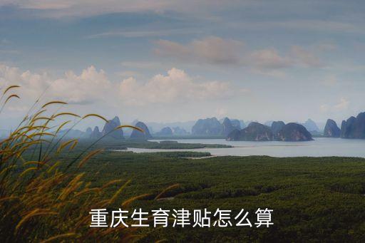 生育津貼標(biāo)準(zhǔn)，重慶生育津貼怎么算