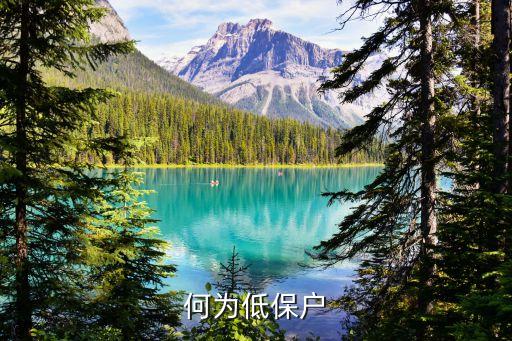 低保戶，低保戶是什么