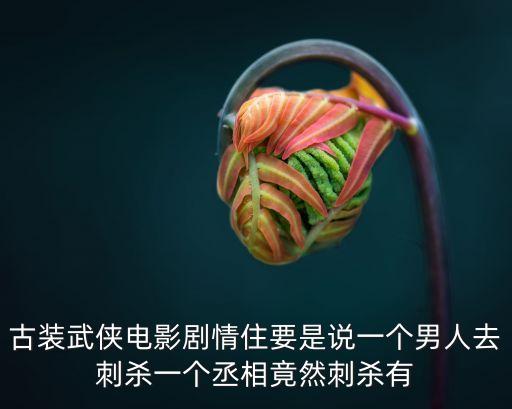 古裝武俠電影劇情住要是說一個男人去刺殺一個丞相竟然刺殺有