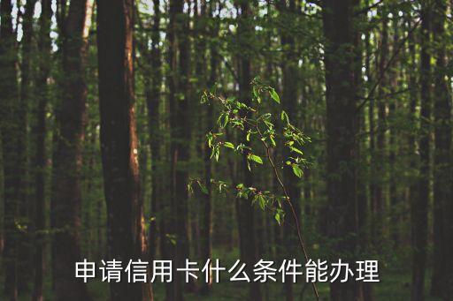 辦理信用卡的條件，申請信用卡需要什么要求