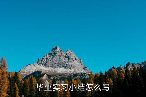 畢業(yè)實(shí)習(xí)小結(jié)怎么寫(xiě)
