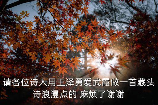 王澤勇，用韓語說王澤勇怎么說