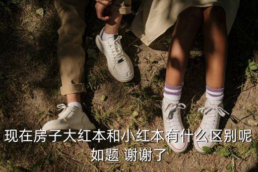 現(xiàn)在房子大紅本和小紅本有什么區(qū)別呢如題 謝謝了