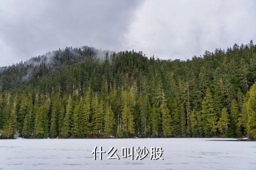 炒股是什么，什么是炒股