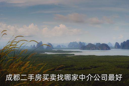 成都房屋出售，成都二手房買賣網(wǎng)有哪些