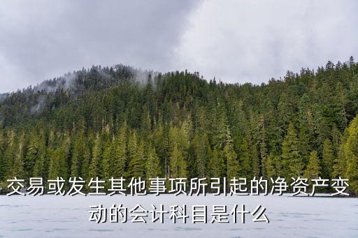 交易或發(fā)生其他事項(xiàng)所引起的凈資產(chǎn)變動(dòng)的會(huì)計(jì)科目是什么