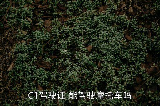 C1駕駛證 能駕駛摩托車嗎
