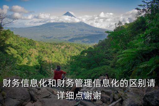 財(cái)務(wù)信息化，財(cái)務(wù)管理信息化的重要性有哪些
