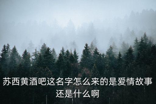 蘇西黃，蘇西黃酒吧這名字怎么來(lái)的是愛(ài)情故事還是什么啊
