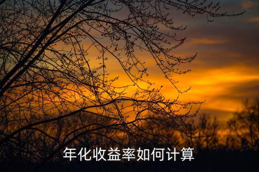 年化率怎么算，年化收益率如何計算