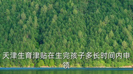 天津生育津貼在生完孩子多長時間內申領