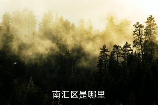 上海南匯區(qū)，南匯區(qū)是哪里