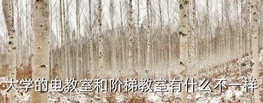 電教室，電教室是什么意思為什么要叫電教室啊
