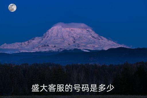 盛大客服的號碼是多少