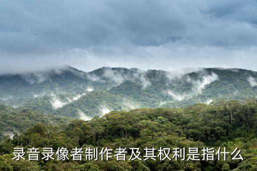制作者，fabricator是什么意思