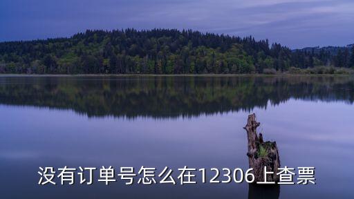 沒有訂單號(hào)怎么在12306上查票