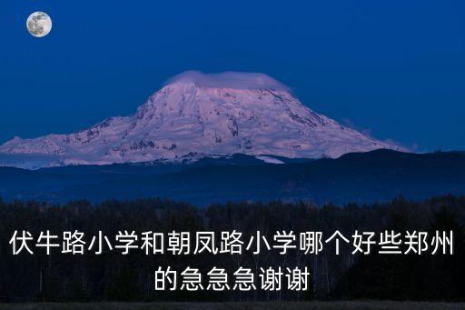 伏牛路小學(xué)和朝鳳路小學(xué)哪個(gè)好些鄭州的急急急謝謝