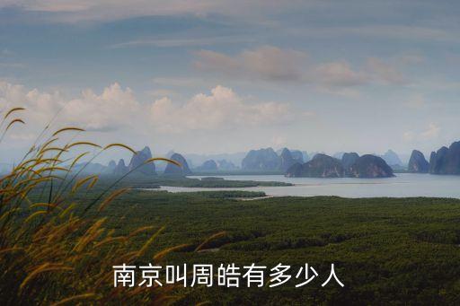 周皓，中國(guó)有多少個(gè)叫周皓的人
