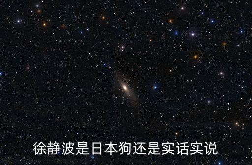 徐靜波，水滸少年的導(dǎo)演是誰