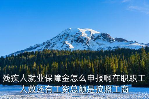 殘疾人就業(yè)保障金怎么申報(bào)啊在職職工人數(shù)還有工資總額是按照工商