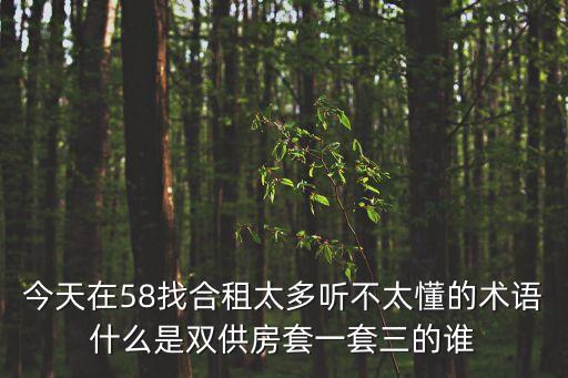 今天在58找合租太多聽不太懂的術(shù)語什么是雙供房套一套三的誰