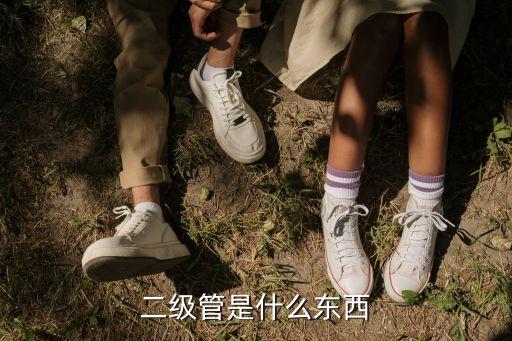 二級(jí)管是什么東西