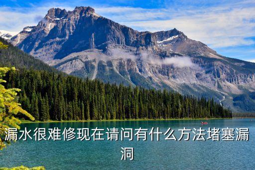 堵塞漏洞，漏水很難修現(xiàn)在請(qǐng)問(wèn)有什么方法堵塞漏洞