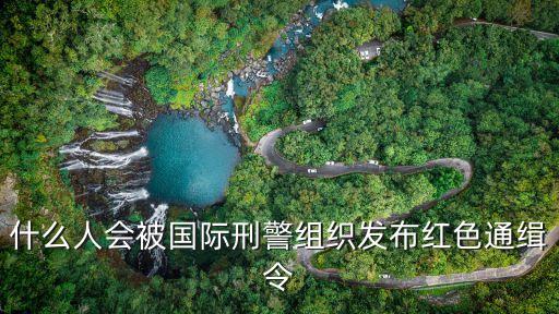 紅色通緝，什么是紅色通緝犯通緝犯都有分顏色的嗎這表示什么呢  搜