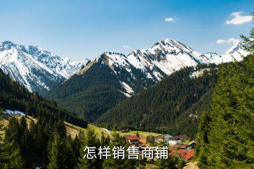 怎樣銷售商鋪