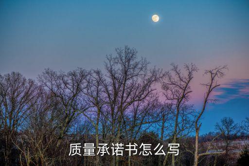 質(zhì)量承諾書(shū)怎么寫(xiě)