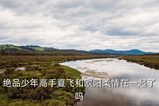 絕品少年高手夏飛和歐陽(yáng)柔情在一起了嗎