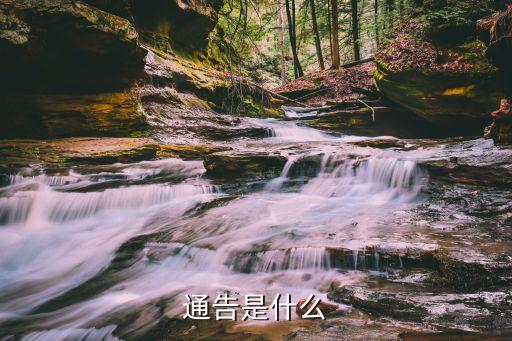 通告是什么