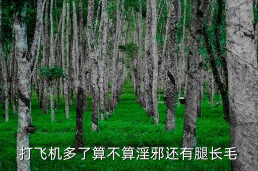 打飛機(jī)算賣淫嗎，有人問我打飛機(jī)算開處嗎可我不知道誰知道呀哈哈