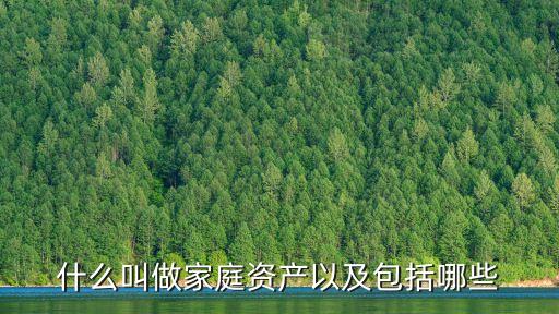 家庭資產(chǎn)，家庭總資產(chǎn)怎么算
