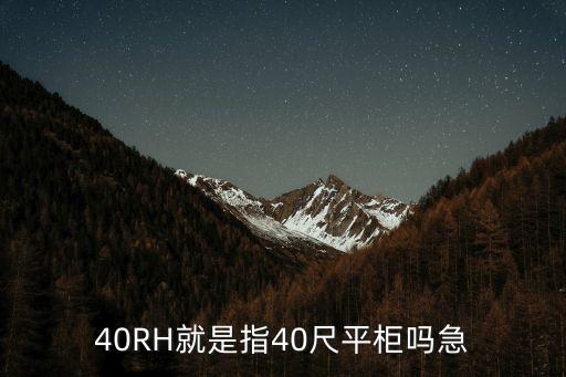 40RH就是指40尺平柜嗎急