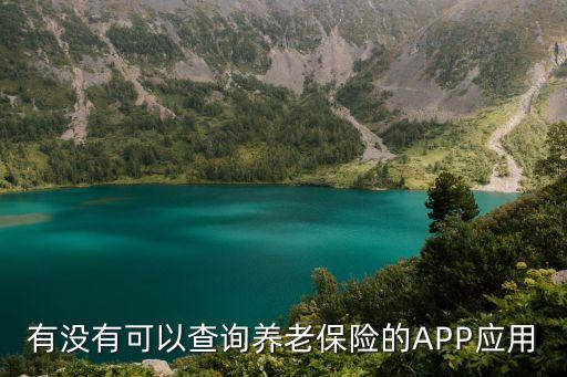 養(yǎng)老保險(xiǎn)app，有沒(méi)有可以查詢養(yǎng)老保險(xiǎn)的APP應(yīng)用