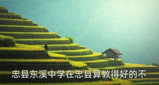 忠縣東溪中學在忠縣算教得好的不