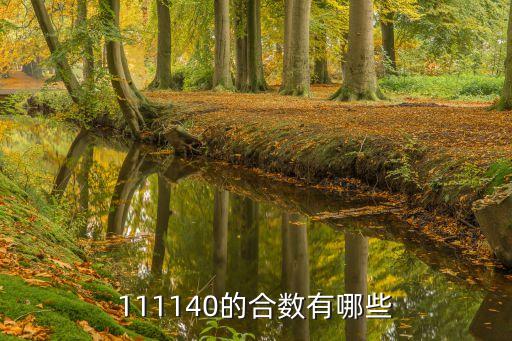 111140的合數(shù)有哪些