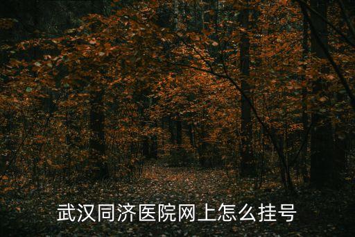 武漢同濟(jì)醫(yī)院網(wǎng)上怎么掛號(hào)