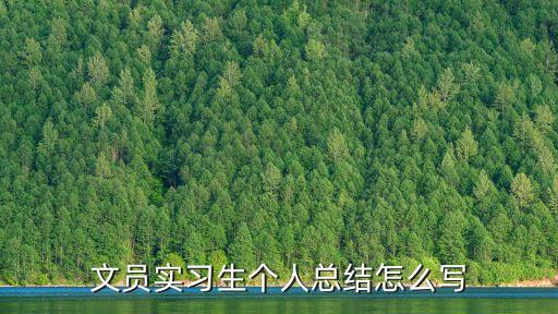 畢業(yè)生實(shí)習(xí)總結(jié)，文員實(shí)習(xí)生個(gè)人總結(jié)怎么寫(xiě)