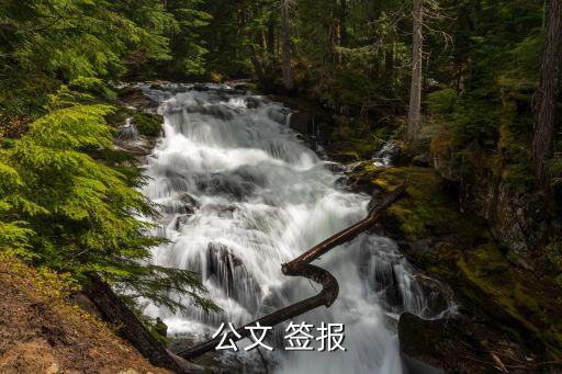 簽報(bào)，公文 簽報(bào)