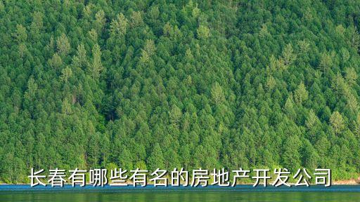 長(zhǎng)春有哪些有名的房地產(chǎn)開發(fā)公司